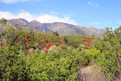 IMG_7889.jpg