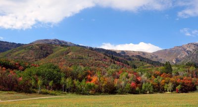 IMG_7896.jpg