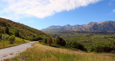 IMG_7962.jpg