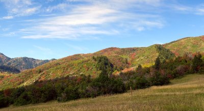 IMG_7964.jpg