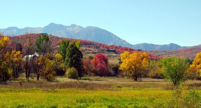 IMG_8041.jpg