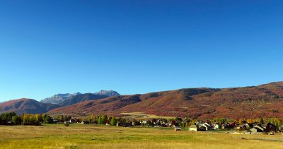 IMG_8070.jpg