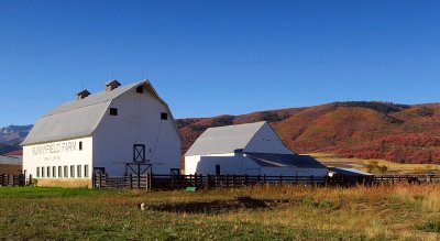 IMG_8075.jpg