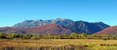 IMG_8079.jpg