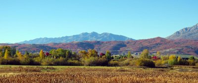 IMG_8080.jpg