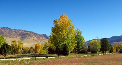 IMG_8089.jpg