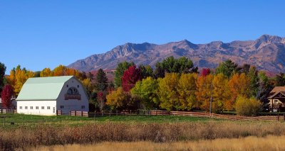 IMG_8117.jpg