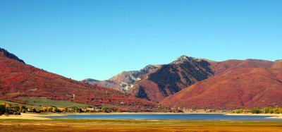 IMG_8129.jpg