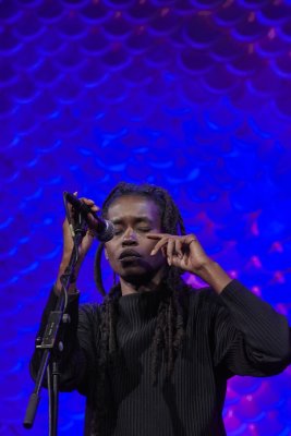 Irreversible Entanglements