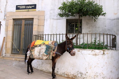 Moulay Idriss