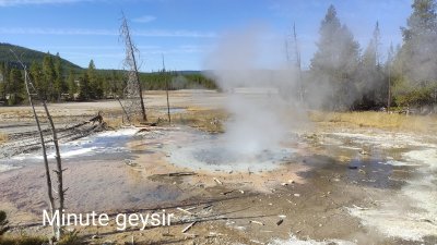 Minute Geyser