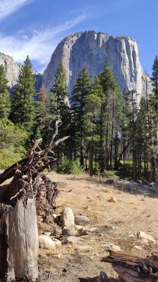 Yosemite_18.jpg