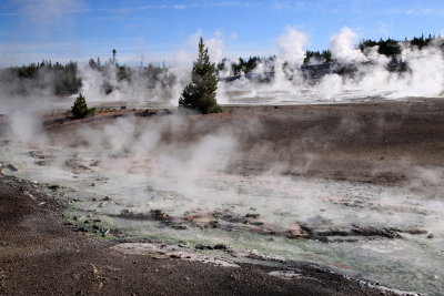 Norris Geyser Basin