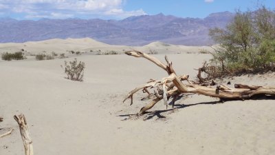 Mesquite Flat Sand Dunes