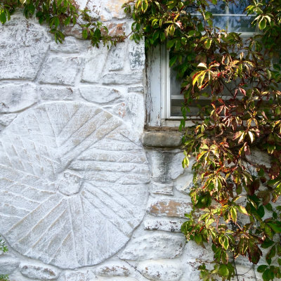 Millstone, Stonework, Window and Virginia Creeper
