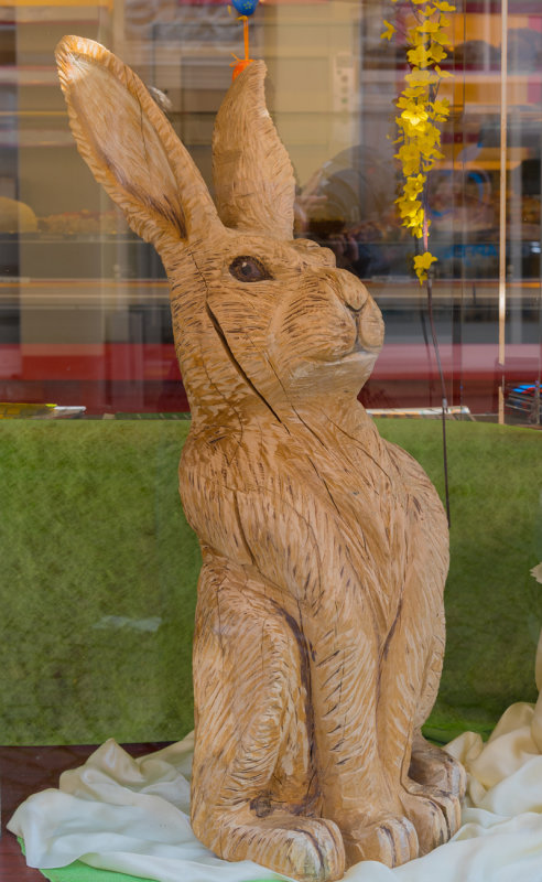 Window Bunny