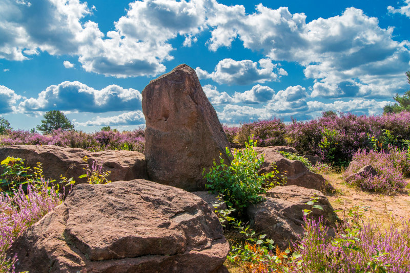Rocks and Heather