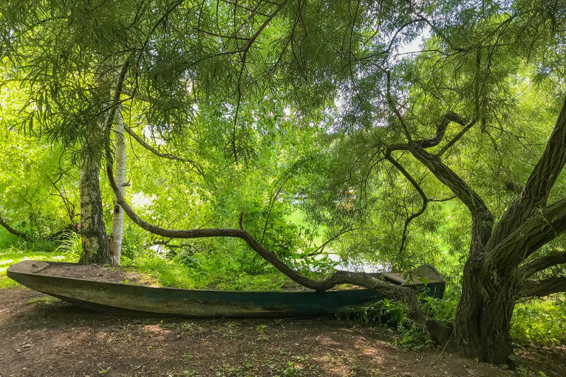 Hidden Boat