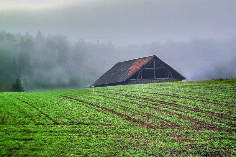 The Barn in the Fog