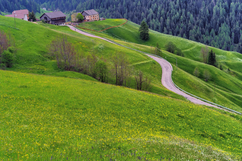 the_winding_road_1_of_1_15.jpg