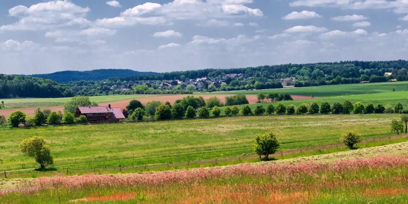 Country Pano