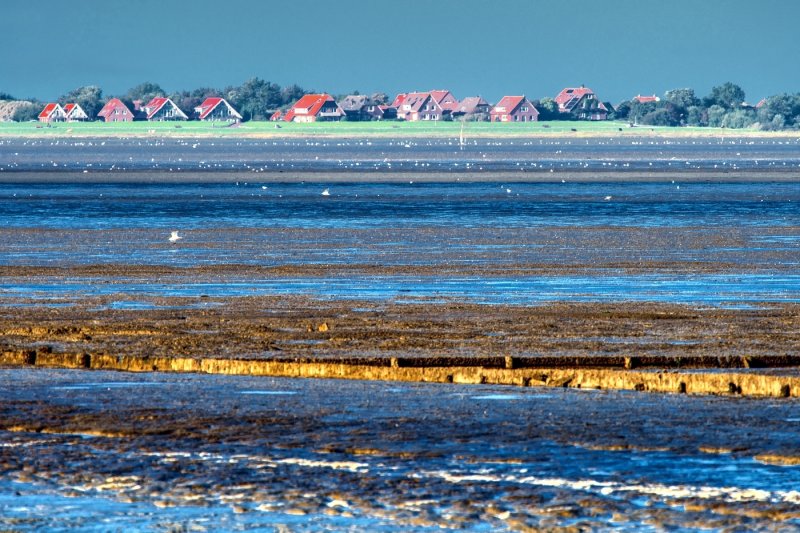 Low Tide View of  Baltrum Island 