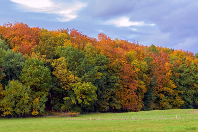 Colors in the Valley