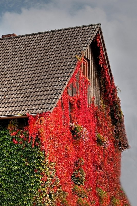 House in Fall Colors