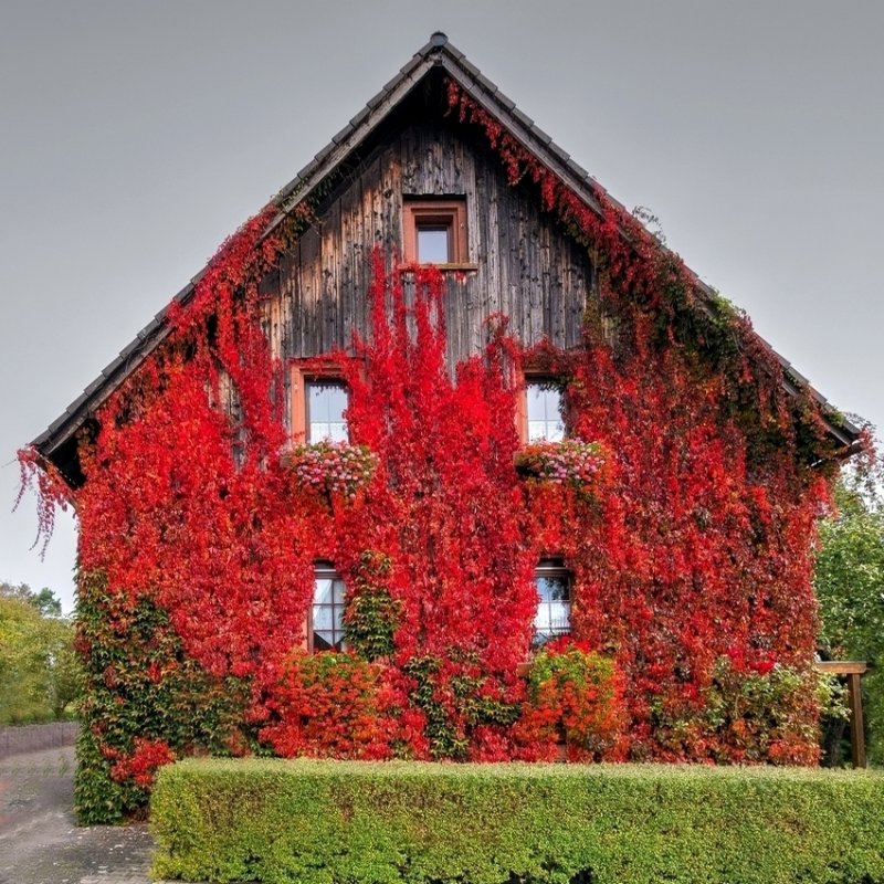 House in Fall Colors