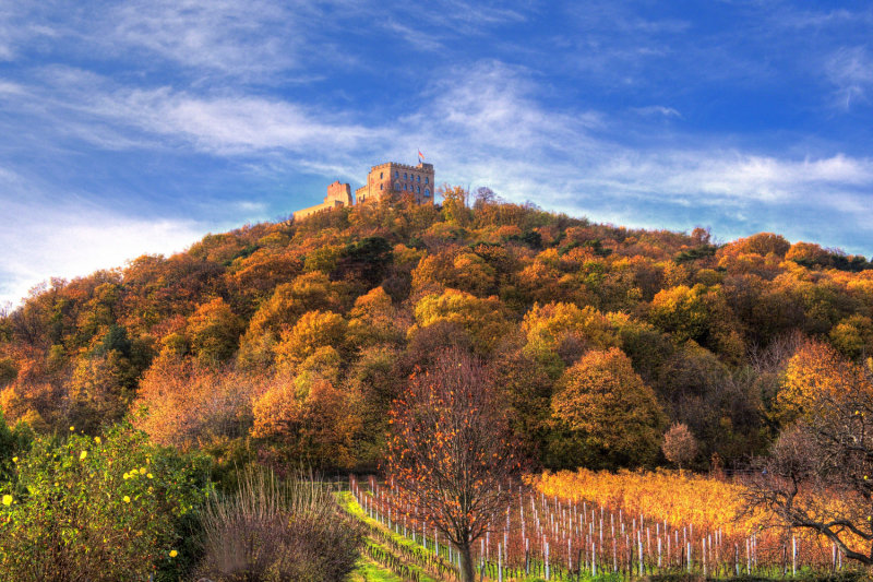 Hambach Castle 