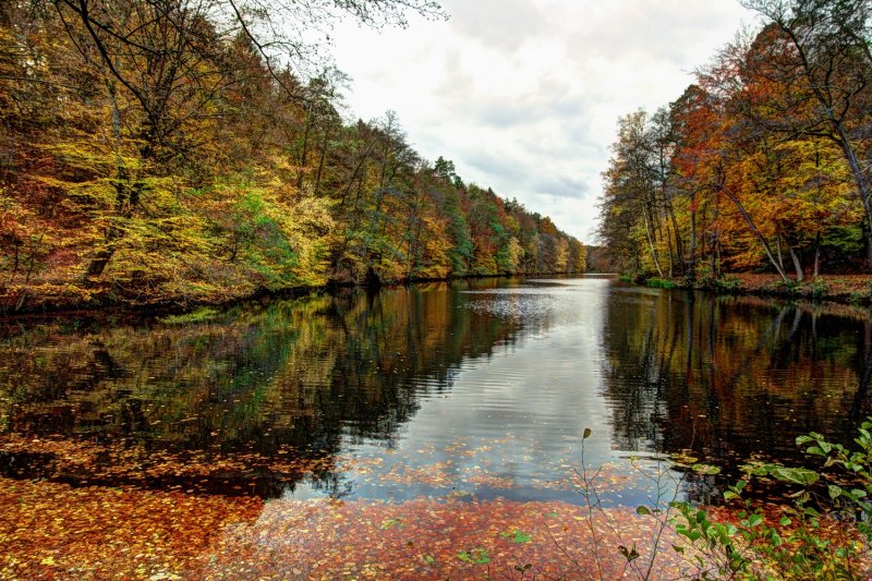 Last Colors by the Lake