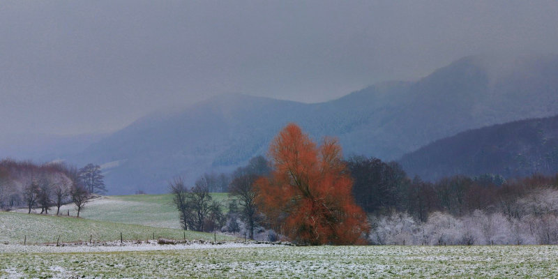 Icy Sunday Pano