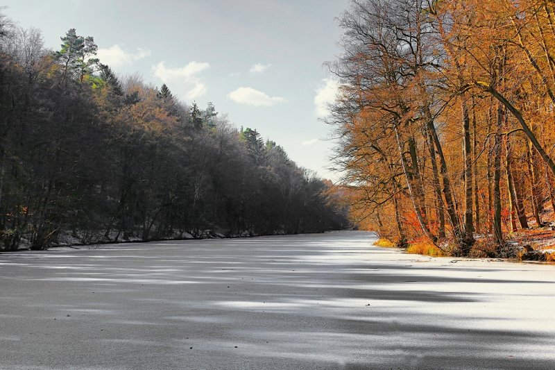 Winter Shadows