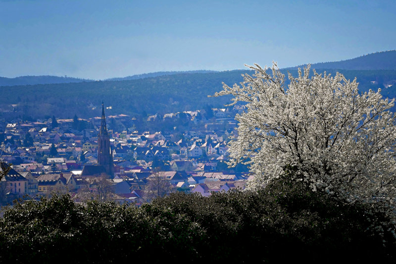 View of the Town in Early Spring