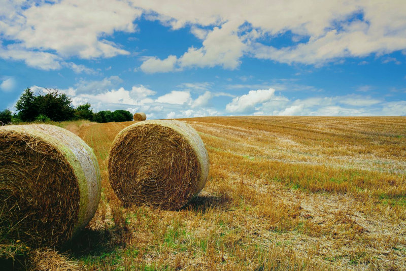 Hay Bales