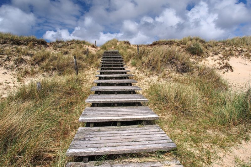 Steps in the Dunes