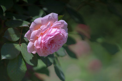 g12/80/968480/3/169469643.8oivA5Dx.jpg
