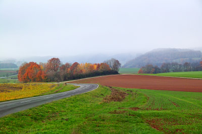 The Road to our Village on a Foggy Day