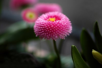 Featured Gallery
