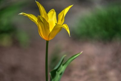 g12/80/968480/3/171696331.dSZc8EE3.jpg