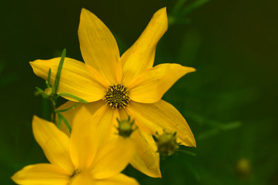 Featured Gallery