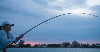 DSC_9512.jpg