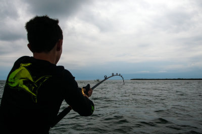 DSC_9537.jpg