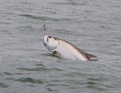 DSC_9575.jpg