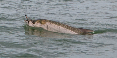 DSC_9586.jpg