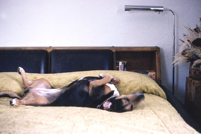 Maggie_on_waterbed_1973.jpg
