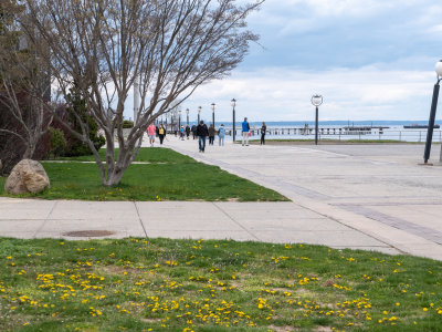 2021-03-27 (Bar Beach)-1000236.jpg