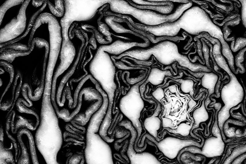 Vortex