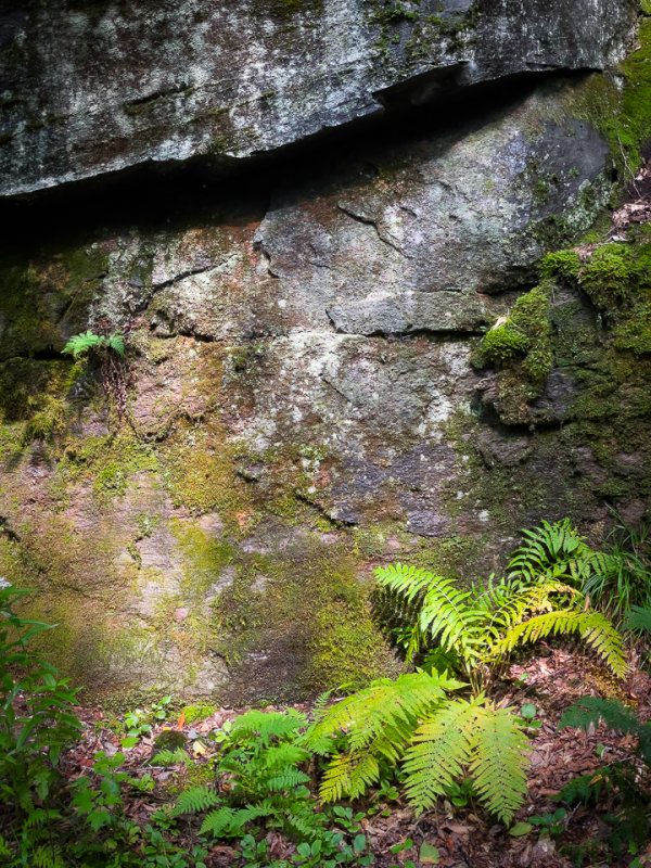 Small Shelter
