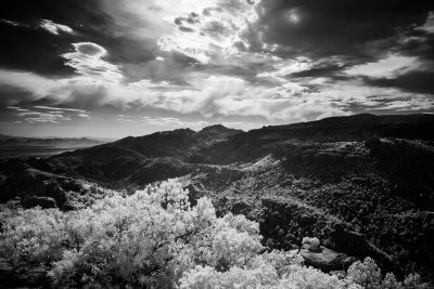 Mountain Wisps